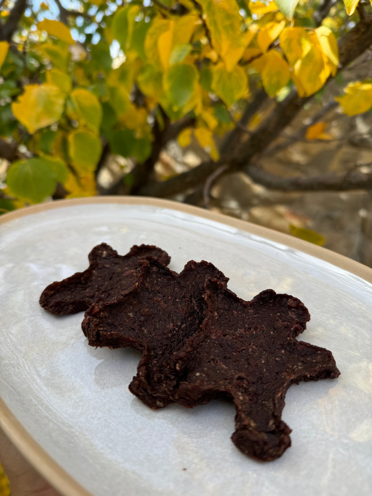 Bison Patties