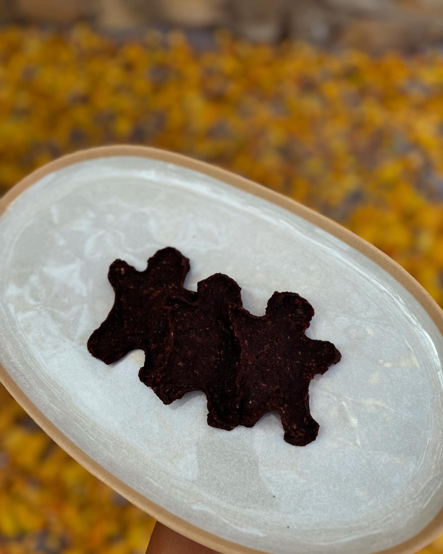 Bison Patties