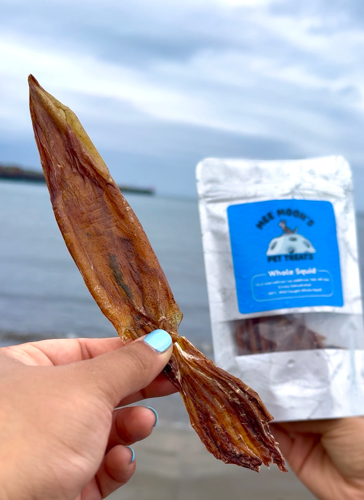 Wild Caught Squid